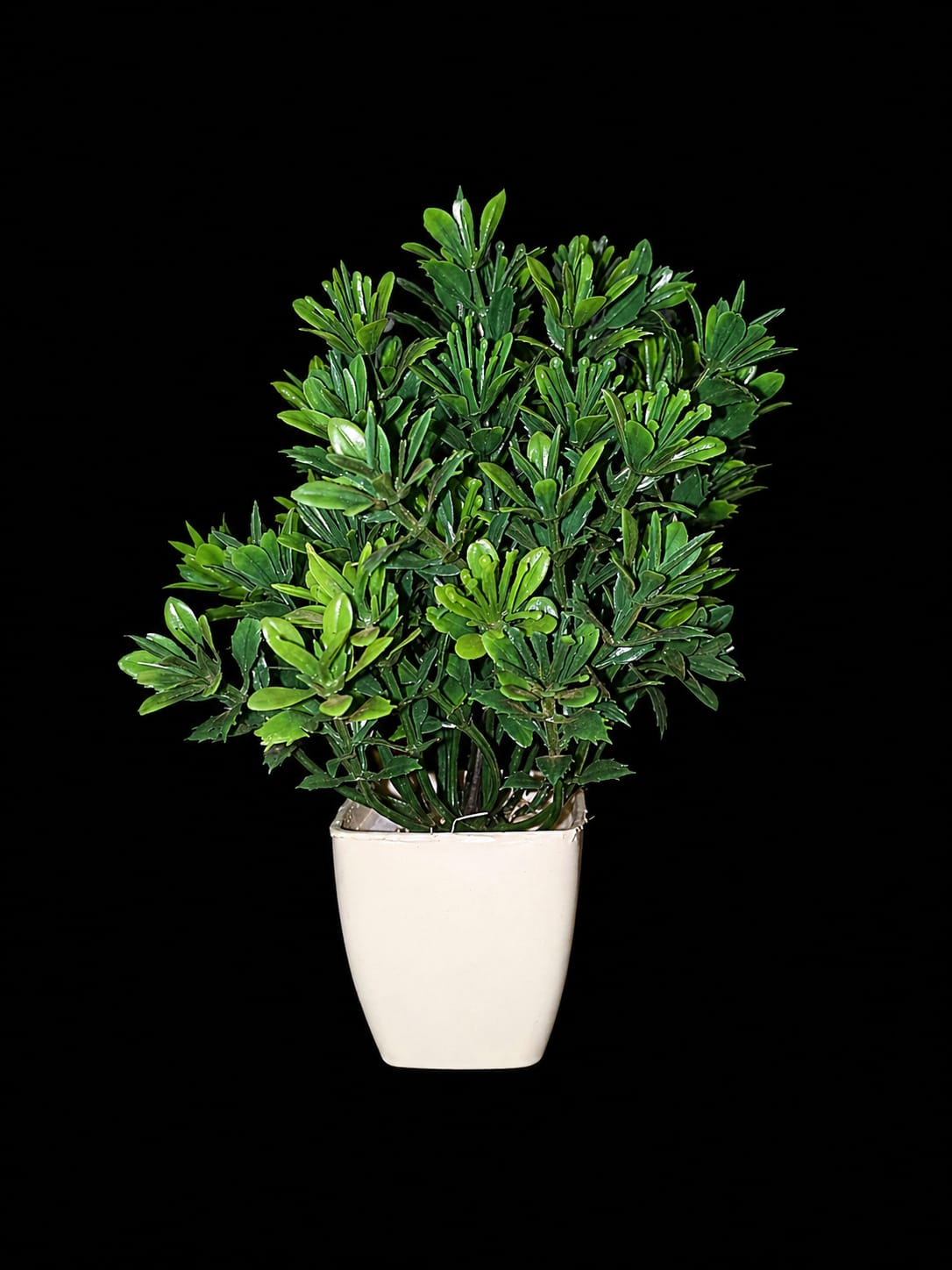 Mini Evergreen Artificial Plant in Pot