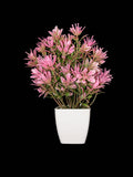 Mini Pink Blossom Artificial Plant in Pot