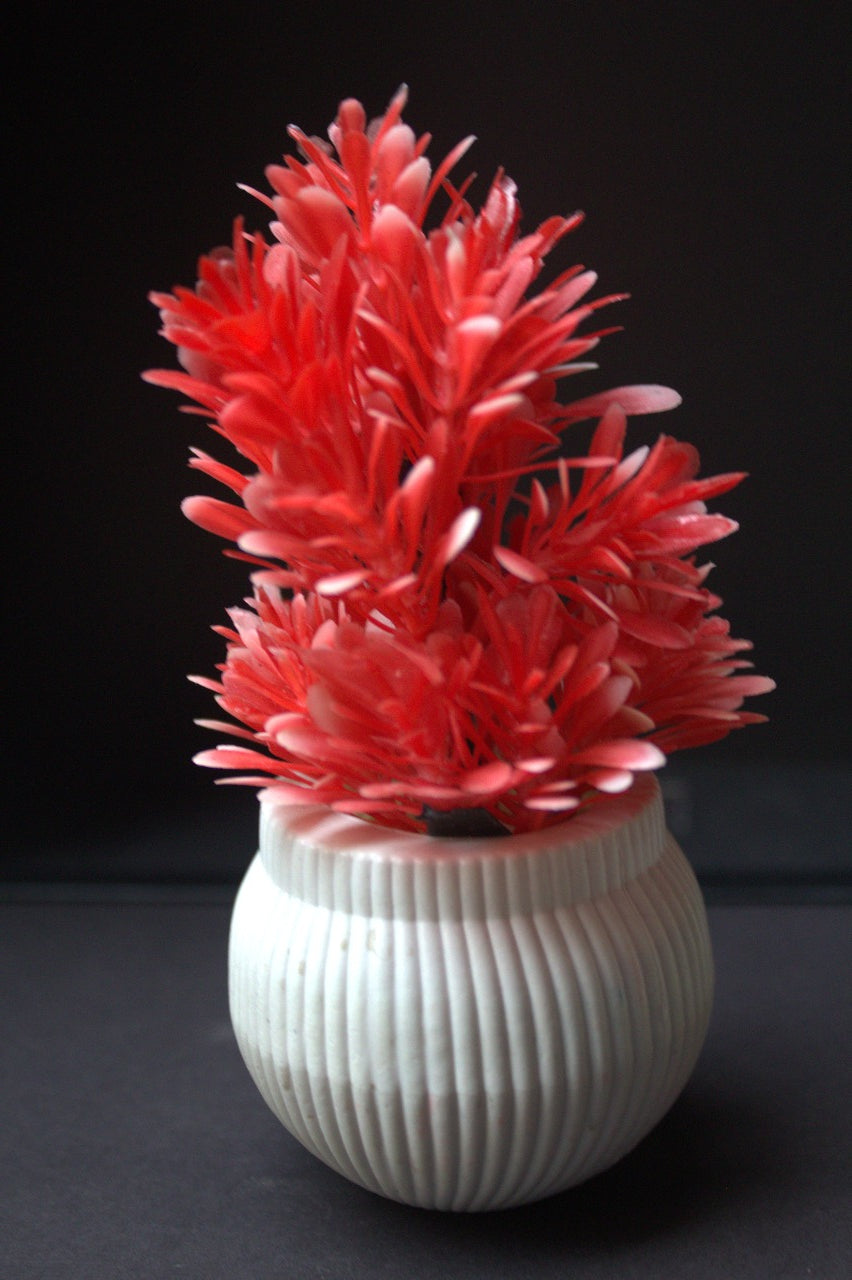 Mini Blush Bloom Vase