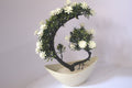 Zen Curve Bonsai Vase