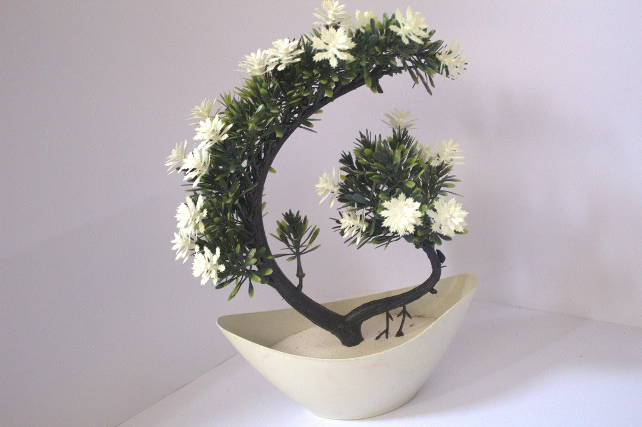 Zen Curve Bonsai Vase