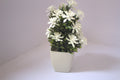 “White Plastic Mini Vase with Artificial Flowers – Decorative Desk & Home Decor